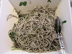 -蝎王府羊蝎子(西直门店)