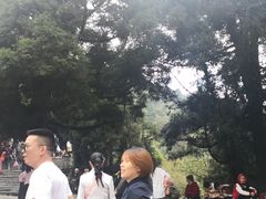 -南岳衡山风景名胜区