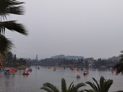 -枫香湖儿童公园