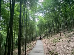 -藏龙百瀑风景区