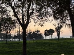 -汉长安城未央宫国家考古遗址公园