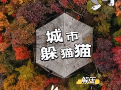 -九如山休闲旅游度假区