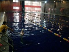 -浚涛游泳培训(江汉路店)