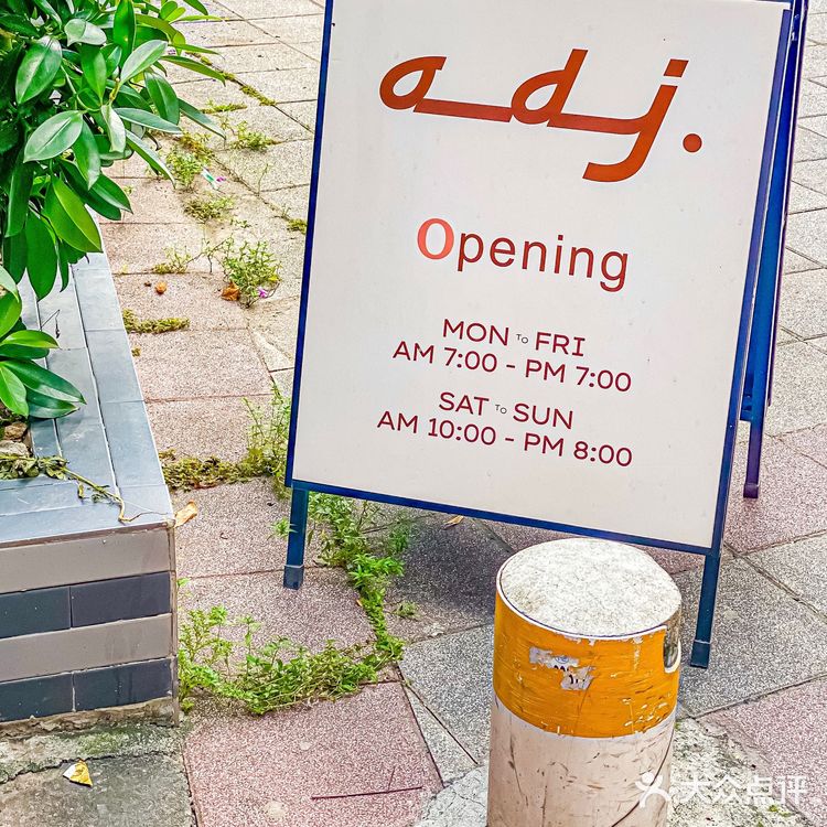 广州探店｜隐藏在居民楼下的咖啡厅☕️