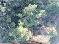 -少华山国家森林公园