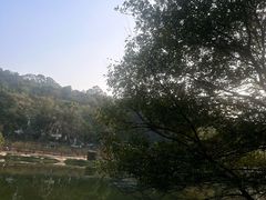 -南国桃园旅游度假区