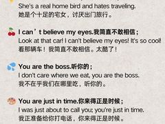 -菠萝国际教育专注Alevel·IGCSE·IB·AP·托福雅思培训辅导(静安校区)