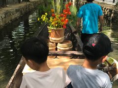 -四条大桥
