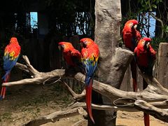 -上海野生动物园