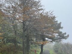 -南岳衡山风景名胜区