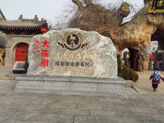-大槐树寻根祭祖园