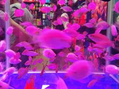 android_upload_pic-新影联·华谊兄弟影院(望京店)