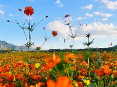 -白石山温泉旅游度假区