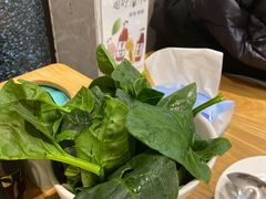 菠菜-吉友粥底火锅(方斜路店)