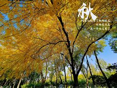 -玲珑塔公园
