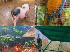 -海南热带野生动植物园