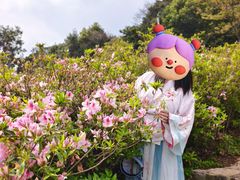-广州市石门国家森林公园