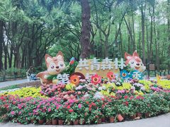 -上海共青森林公园