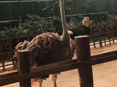 -呀路古热带植物园
