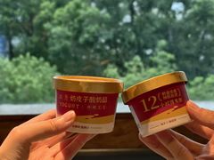 潮界招牌奶皮子-潮界(大学路店)