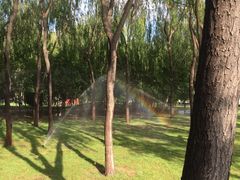 森林公园-森林公园(尖草坪区)