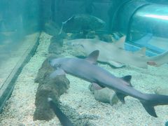 -福州罗源湾海洋世界旅游区