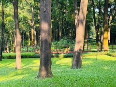 -云溪植物园
