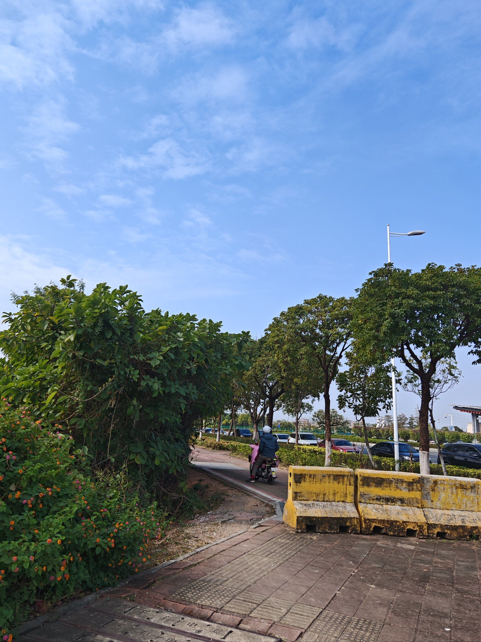 下沙湿地公园
正在修路中,适合垂钓