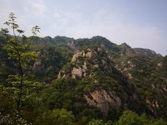 -大岭沟猕猴桃谷风景区