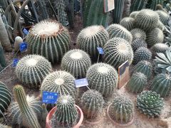 -国家植物园南园