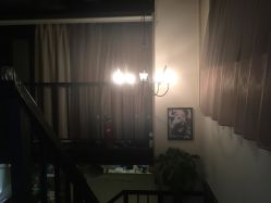 -素颜秀·纹眉·野生眉·纹唇半永久