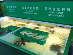 -無招牌海鮮(芽笼店)