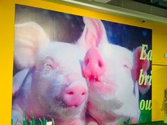 -chi K11艺术空间展览厅