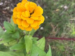 -河南大学(龙子湖校区)