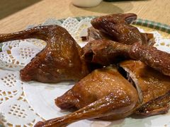 -百利鸽王(紫薇路店)