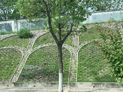 -菊花台公园