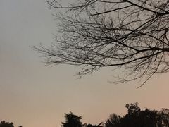 -食膳公园包子铺(烈士公园店)