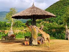 -芽庄珍珠岛游乐园