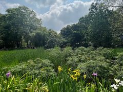 -成都市活水公园