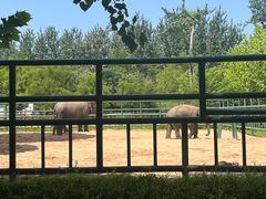-秦皇岛野生动物园