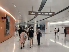 -深圳市体育中心体育馆主馆