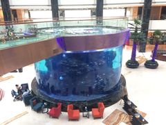 -OPEN開全日自助餐厅·牛肉火锅·海鲜(佛山希尔顿酒店)