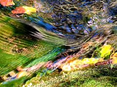 -云岫谷游猎自然风景区