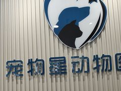 -宠物星动物医院·眼科·异宠·猫科(江南大道总院)