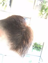 -曼都发型·臻选