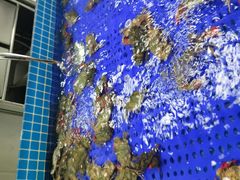 -福禧荟·海鲜自助