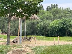 -北京野生动物园