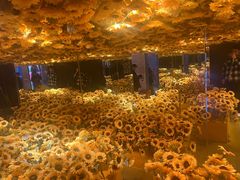 -梵高星空艺术馆(北京旗舰店)