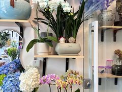 -FEI FEI FLOWER鲜花店·气球派对·宝宝宴布置(虹口德必运动Loft店)