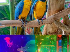 -海合安武汉极地海洋公园